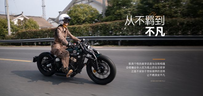 24年度十大高关注新跨骑哪一款是你的菜？｜2024年度事件④j9九游会入口首页双缸三缸甚至四缸涵盖巡航、仿赛和街车！20(图24)