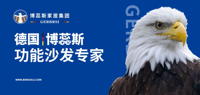 能沙发专家 大国隐形冠军J9国际集团博蕊斯——功(图1)