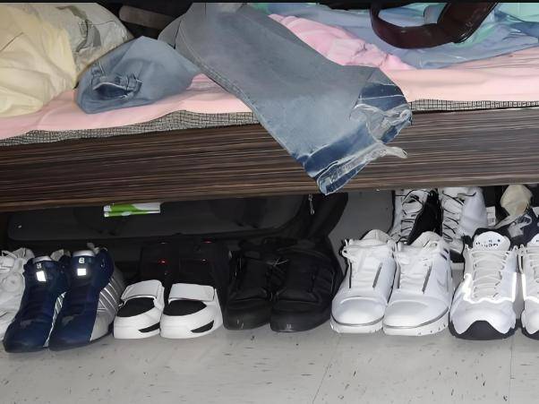 砖房”突然消失了？想不到危害这么大J9国际集团为什么曾红极一时的“红(图9)