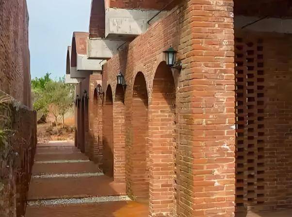 砖房”突然消失了？想不到危害这么大J9国际集团为什么曾红极一时的“红(图12)