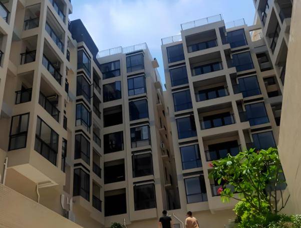 砖房”突然消失了？想不到危害这么大J9国际集团为什么曾红极一时的“红(图13)