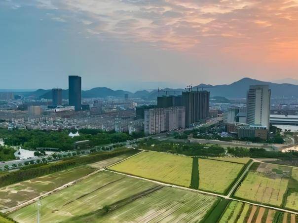 砖房”突然消失了？想不到危害这么大J9国际集团为什么曾红极一时的“红(图14)