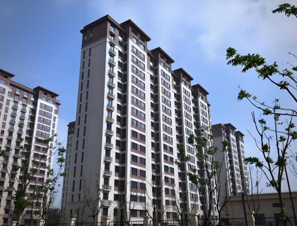 砖房”突然消失了？想不到危害这么大J9国际集团为什么曾红极一时的“红(图22)