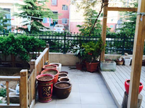 砖房”突然消失了？想不到危害这么大J9国际集团为什么曾红极一时的“红(图27)