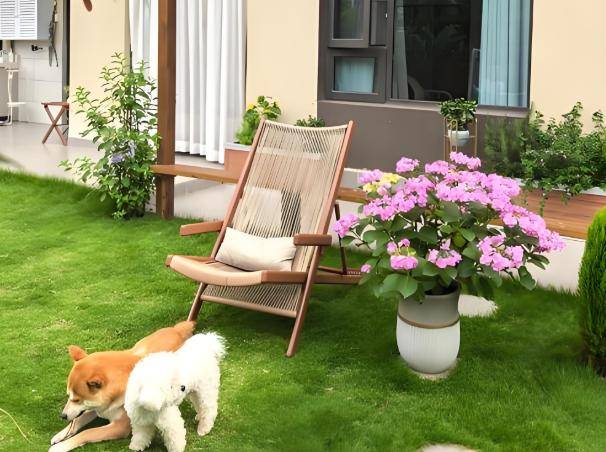 砖房”突然消失了？想不到危害这么大J9国际集团为什么曾红极一时的“红(图32)