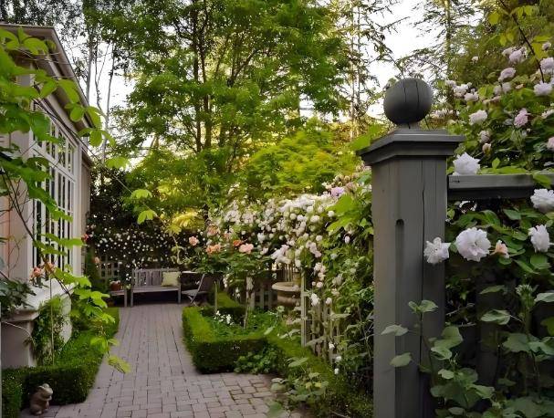 砖房”突然消失了？想不到危害这么大J9国际集团为什么曾红极一时的“红(图43)