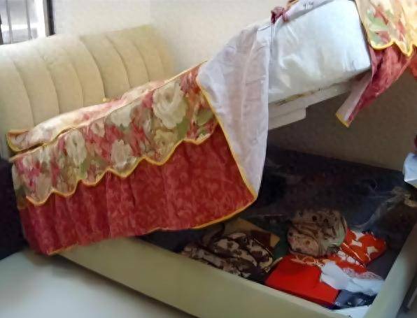 砖房”突然消失了？想不到危害这么大J9国际集团为什么曾红极一时的“红(图46)